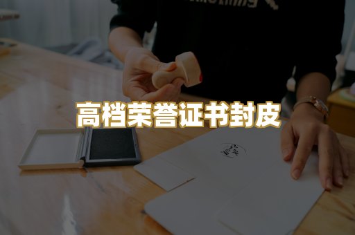 机动车驾驶证排版